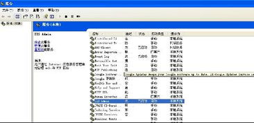 為什么Internet信息服務中沒有項目顯示？