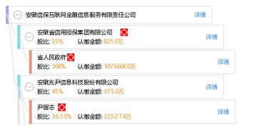 安徽信保互聯(lián)網(wǎng)金融信息服務有限責任公司 深耕互聯(lián)網(wǎng)信息服務，賦能區(qū)域金融創(chuàng)新